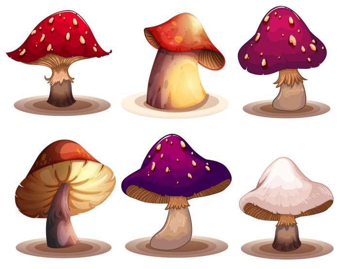 Copy and paste mushrooms