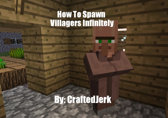 How to spawn villager