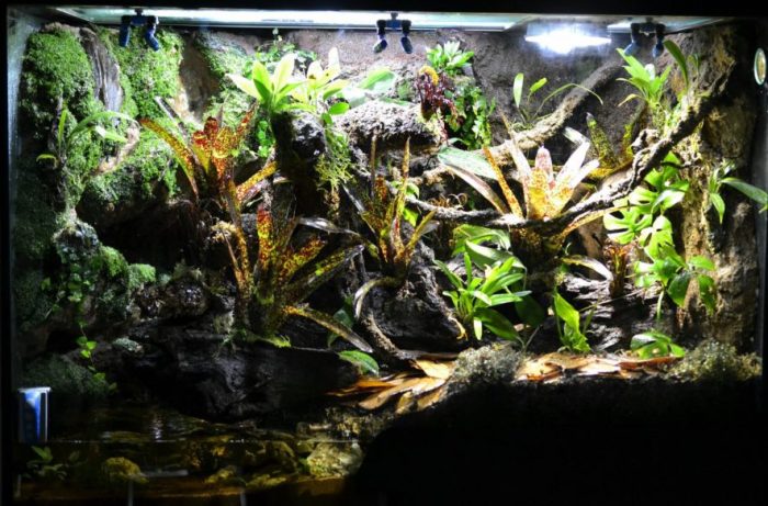 How to build a vivarium