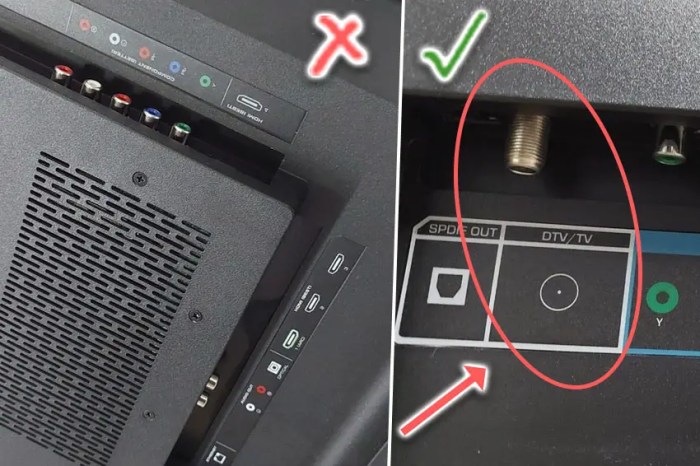 Vizio antenna coax input connecting