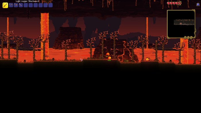 Terraria don't dig up