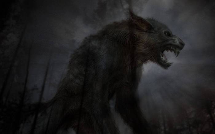 Werewolf in the dark