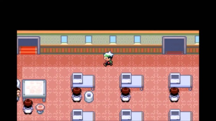 Exp share pokemon emerald