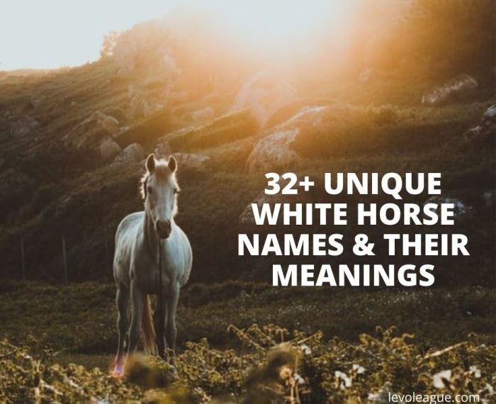 Names for white horses