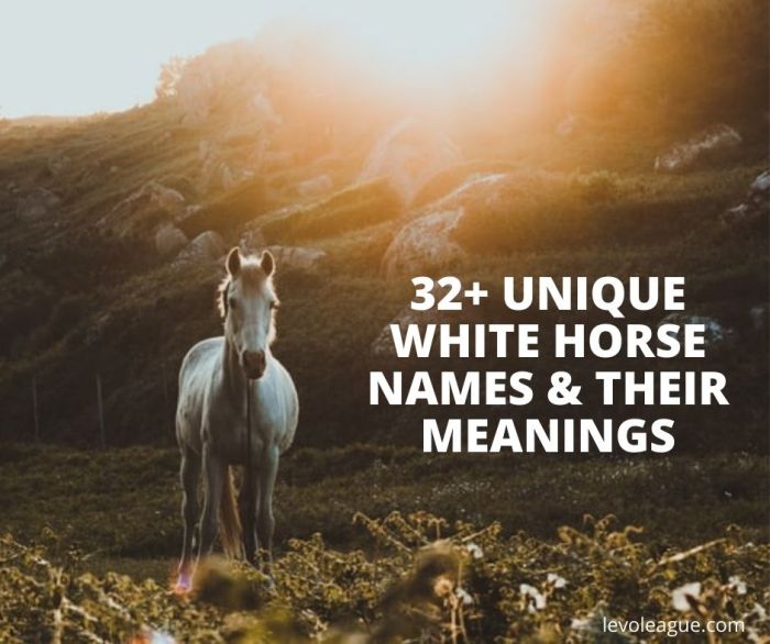 Names for white horses