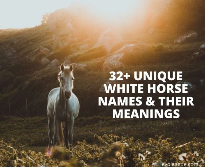 Names for a white horse