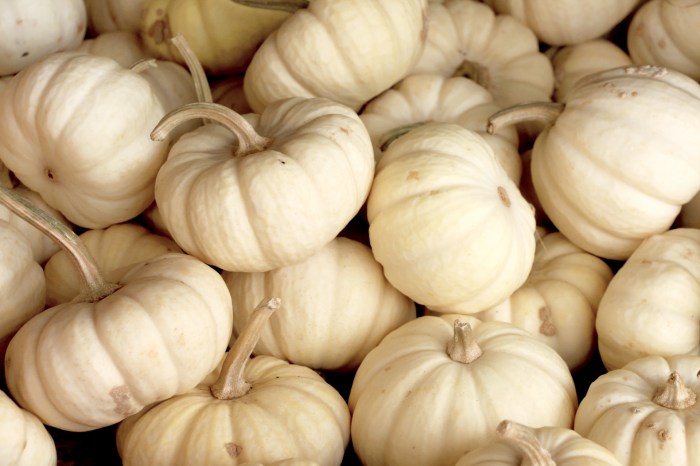 How to get white pumpkins