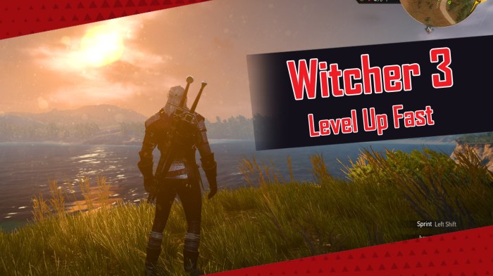 Leveling up witcher 3