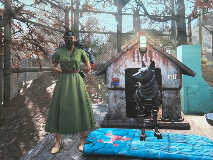 Fallout 76 junkyard dog