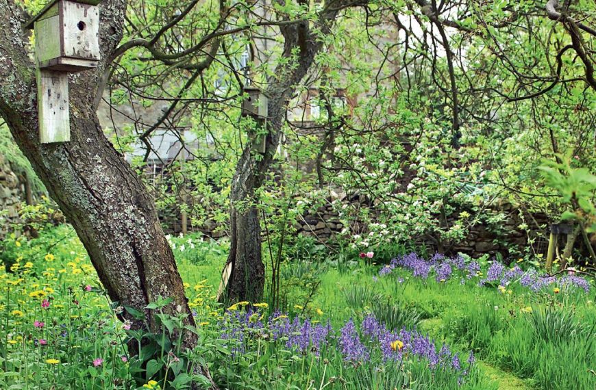 Planting in the woods