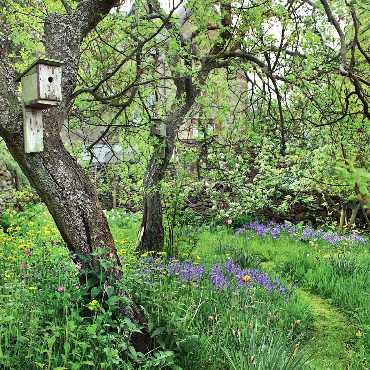 Planting in the woods