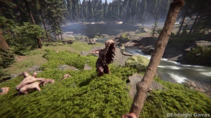 The forest dev mode