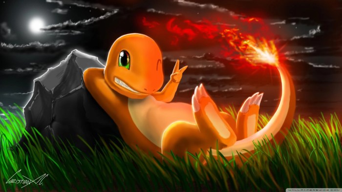 Flash fire red pokemon