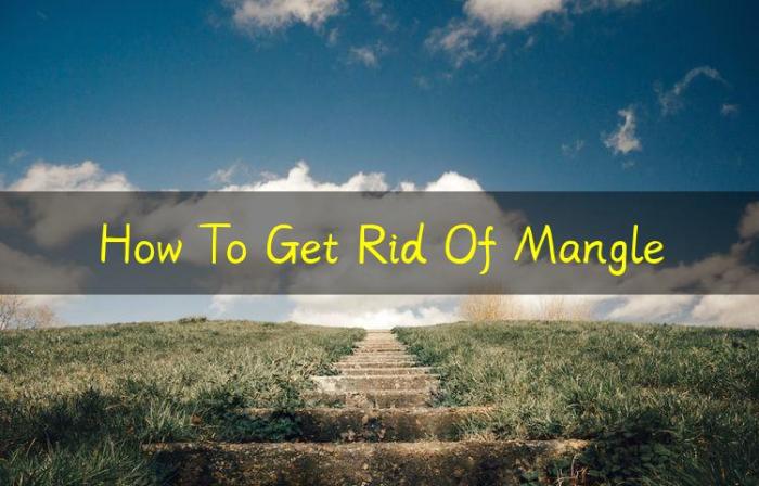 How to get rid of mangle