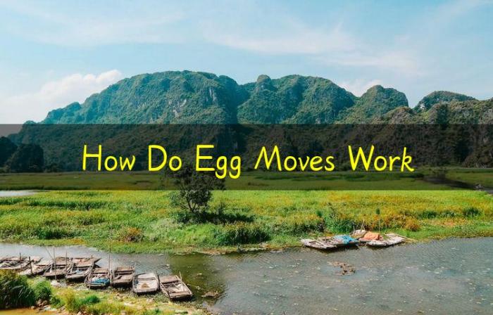 How do egg moves work