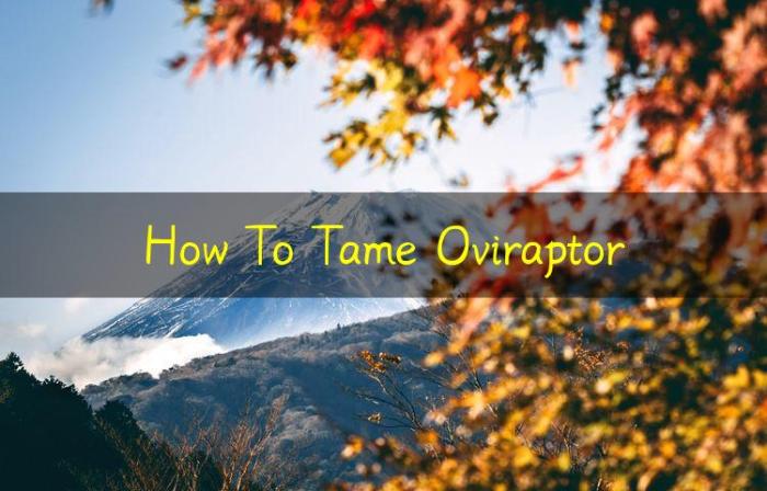 How to tame an oviraptor