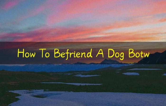 How to befriend dog botw
