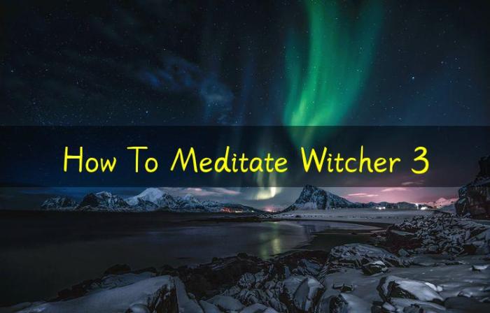 Witcher meditation ui mod