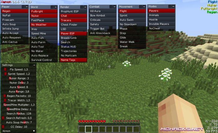 What is minecraft client