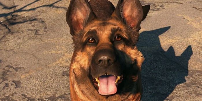 Teddy the dog fallout 4