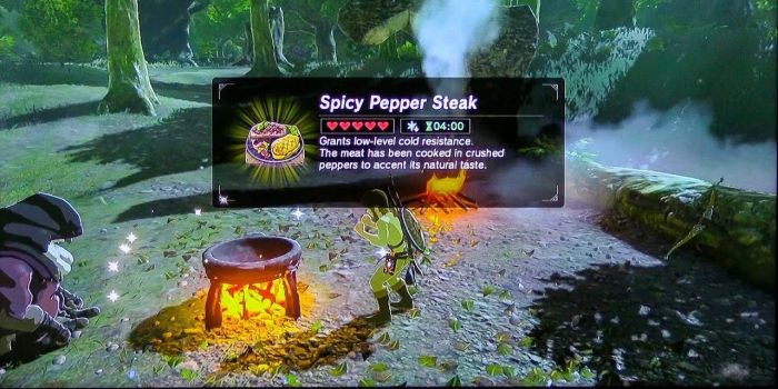 Botw fire resistance food