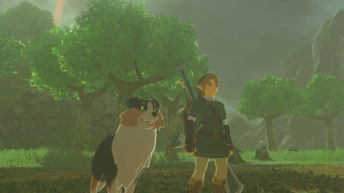 Dog dogs botw tame breath wild step find