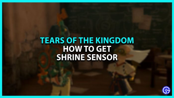 Zelda totk shrine sensor