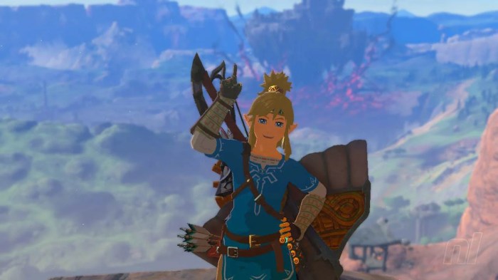 Botw how to get rupees