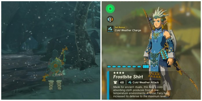 Zelda cold weather gear