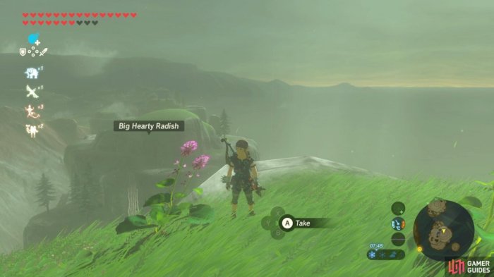 Botw zelda recipes radish breath wild post heart comments game