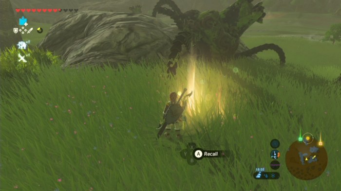 The final memory botw