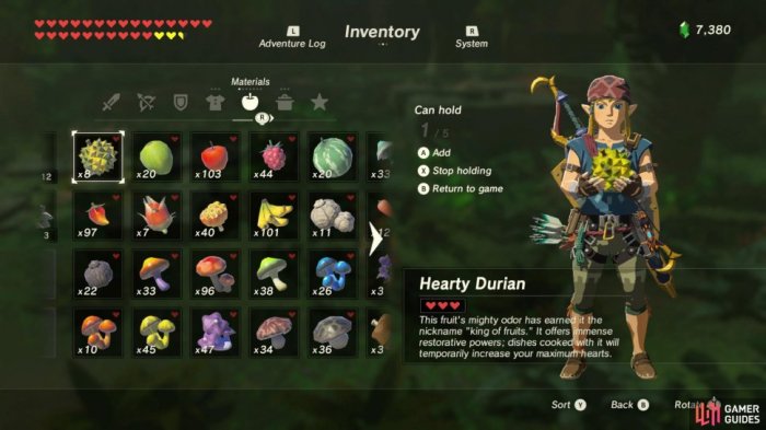 Zelda totk hearty durian