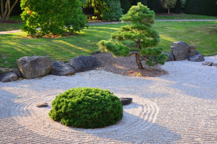 Plants for zen garden