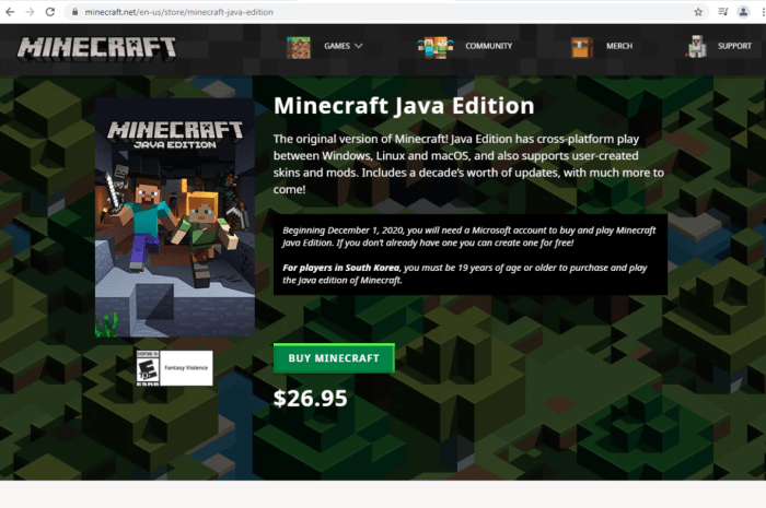 Buy minecraft for a friend