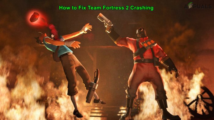 Team fortress 2 crashing