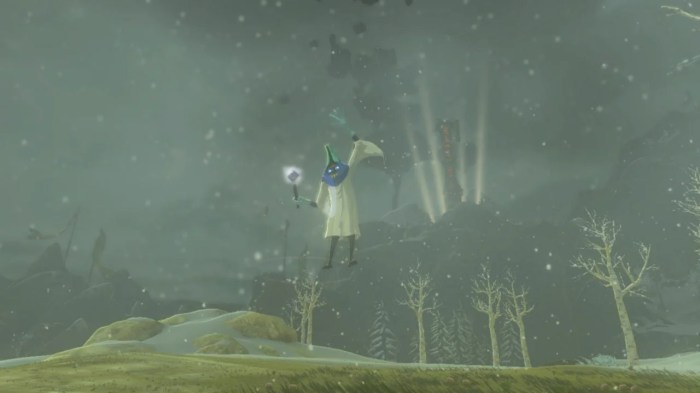 Botw ice wizzrobe location