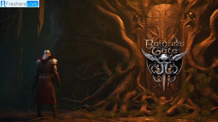 Burrow hole baldurs gate