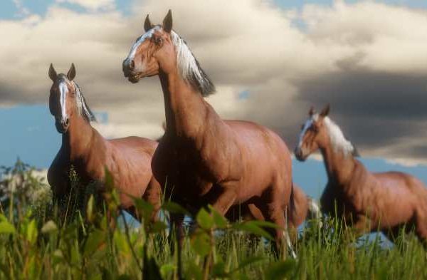 Horse dead red redemption arabian rdr2 location legendary rarest elite rare gamepur rdr horses get find buell locations guide animals