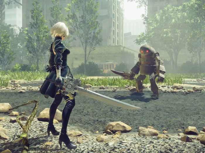 Nier automata in order