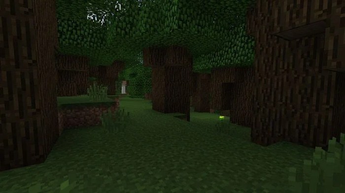 Dark oak forest biome name