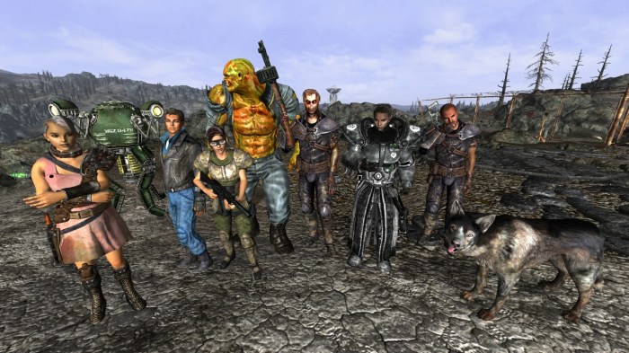 All followers in fallout 3