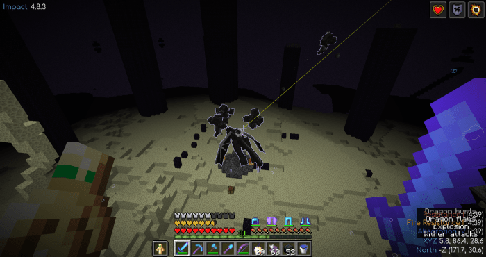 Wither vs ender dragon