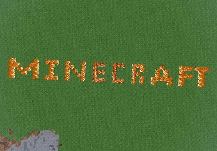 Do signs burn in minecraft