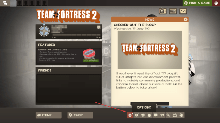 Tf2 how to enable console