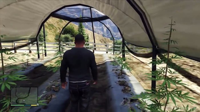 How to buy weed farm gta 5