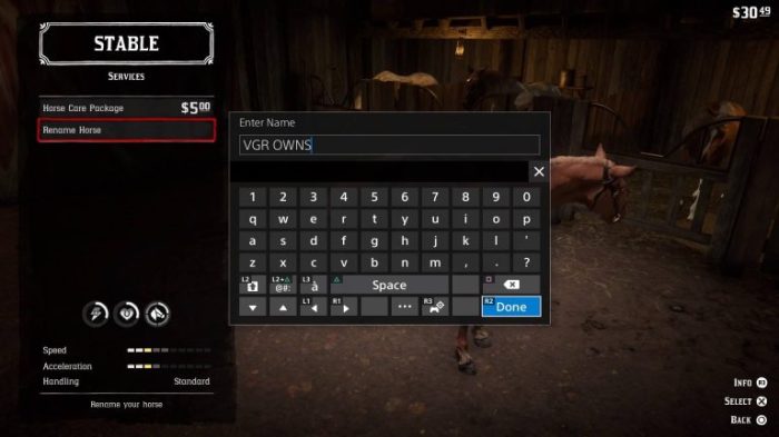 How to rename horse rdr2