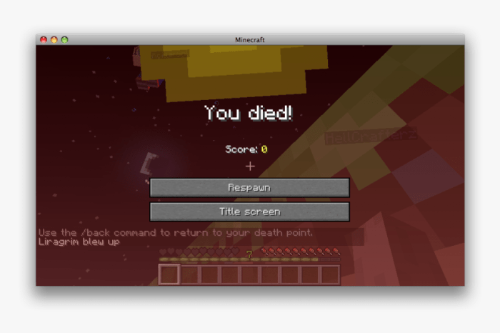 Minecraft you died screen