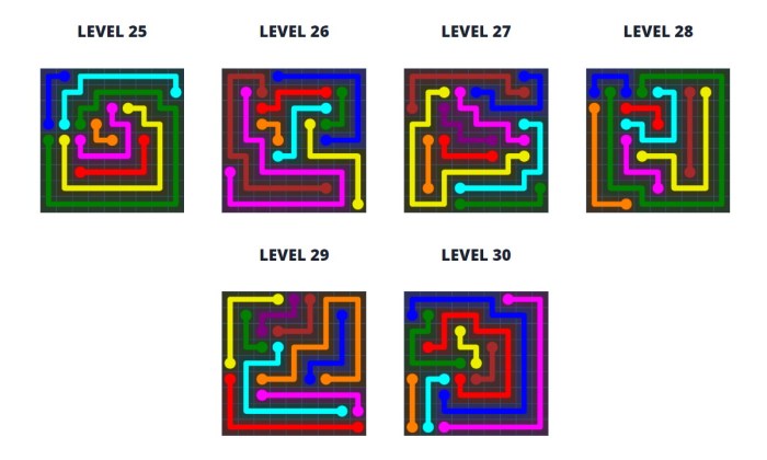 Level 15 9x9 flow free