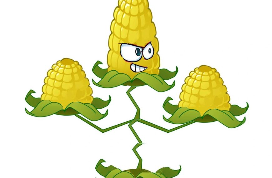 Pvz kernel gw2 plantsvszombies webstockreview pinclipart