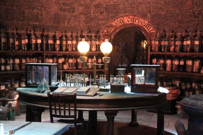 Potions room harry potter